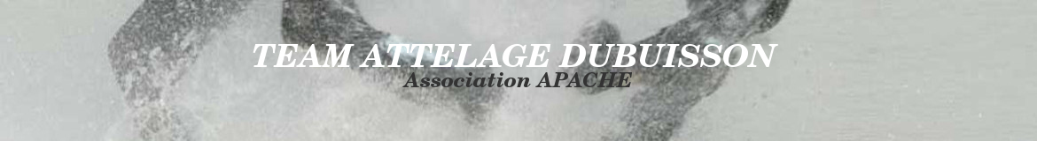 TEAM ATTELAGE DUBUISSON 